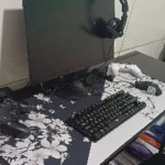 SSD M.2 NVMe PCIe Alta Velocidade até 3000MB/s, Leitura e Gravação Ultra Rápida, SSD Interno para Notebook, PC Gamer, Desktop e Servidor, Compatível com Windows, Mac e Linux photo review